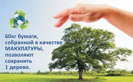 Cum reciclarea deșeurilor de hârtie - Belaazyorsk portal de informare-divertisment (recepție carton) Cum reciclarea deșeurilor de hârtie - informații Belaazyorsk și portal de divertisment