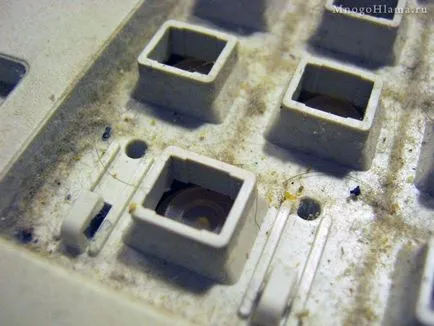 Cum să demontați și să se spele tastatura (spălare) Cum să demontați și se spală tastatura
