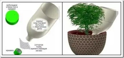 Cum de a face plantele de interior automate de udare cu propriile lor mâini pentru a afla despre modul în care să se asigure că plantele (udare automat) Cum de a face plantele de interior automate de udare cu propriile lor mâini pentru a afla despre modul în care să se asigure că plantele