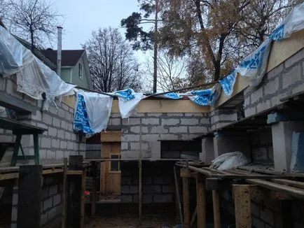 Cum de a face propriile mâini Găini plase