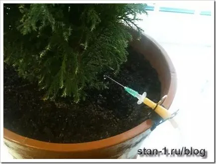 Cum se face automat plante de interior de udare cu propriile lor mâini pentru a afla despre modul în care să se asigure plantelor (în interior) Cum de a face plantele de interior automate de udare cu propriile lor mâini pentru a afla despre modul în care să se asigure că plantele
