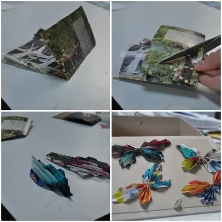 Cum sa faci un fluture realizat din hârtie 3 clase de master, cu fotografii, care sunt ușor de reprodus