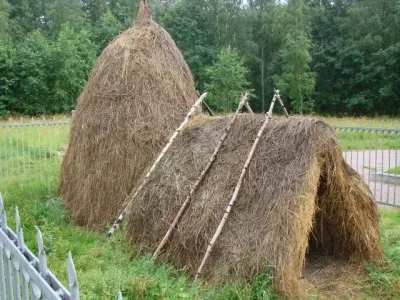 Cum sa faci o casa sau un arbore într-o colibă ​​cu propriile sale mâini