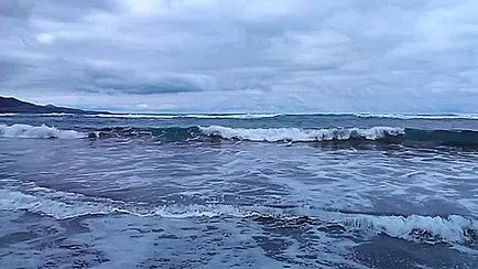 Cum sa faci un gif de la video - revizuire a 8 programe (programe) Cum de a face un gif de la video - recenzie 8 programe