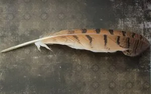 Cum sa faci o Dreamcatcher cu propriile lor mâini - o clasă de master și idei talisman amuletă, dulce casă - mână (do) Cum sa faci o Dreamcatcher cu propriile lor mâini - o clasă de master și idei Talisman amuletă, dulce casa - mână