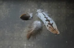 Cum sa faci o Dreamcatcher cu propriile lor mâini - o clasă de master și idei talisman amuletă, dulce casa - Produse de mână (catcher) Cum sa faci o Dreamcatcher cu propriile lor mâini - o clasă de master și idei Talisman amuletă, dulce casa - mână