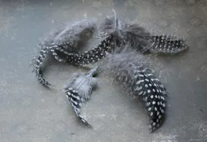 Cum sa faci o Dreamcatcher cu propriile lor mâini - o clasă de master și idei talisman amuletă, dulce casa - Produse de mână (catcher) Cum sa faci o Dreamcatcher cu propriile lor mâini - o clasă de master și idei Talisman amuletă, dulce casa - mână