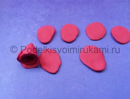 Cum sa faci o floare din plastilină (modelare lut Lecția) Cum sa faci o floare din plastilină