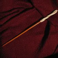 Cum sa faci o baghetă magică la domiciliu