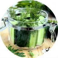 Cum de a face castraveți sărați delicioase la domiciliu (grame de usturoi de sare) Cum de a face castraveți delicioase sărați la domiciliu