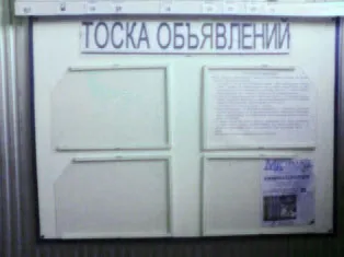 Cum de a face un stand cu mâinile sale Ekaterinburg (gratuit) Cum de a face un stand cu mâinile Ekaterinburg