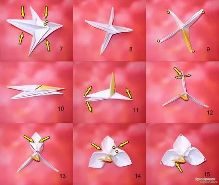 Cum sa faci o floare de hârtie cu ghidul mâinile cu fotografii și video