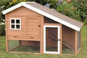 Un pui coop pentru 10 pui cu desene mâinile lor, fotografii și desene stinghii pentru găinile ouătoare, etapele video (coteț de pui pentru 10 pui cu desenul lor mâini) Un pui coop pentru 10 pui cu desene mâinile lor, fotografii și modele stinghii pentru găinile ouătoare, etapele film