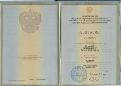 Calificarea Diploma este calificarea de Diplomă și importanța sa în atingerea succesului,