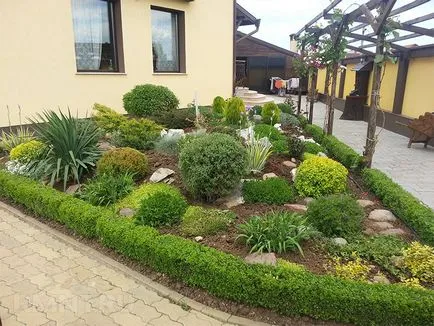 site-ul de amenajare a teritoriului reguli cu propriile lor mâini, idei, fotografii (design peisagistic) site-ul de amenajare a teritoriului reguli cu mâinile proprii, idei, fotografii
