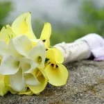 Cum de a alege un buchet de mireasa nu este (cum de a alege flori pentru buchetul miresei) Cum de a alege un buchet de nunta miresei nu va