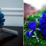 Cum de a alege un buchet de mireasa nu este o nunta (mireasa) Cum de a alege un buchet de nunta miresei nu va