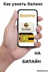 De unde știi soldul sau soldul celeilalte părți la Beeline