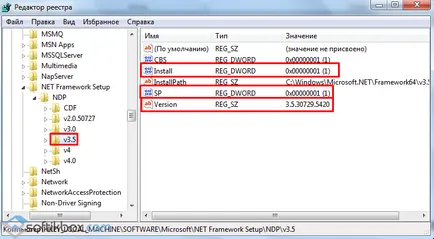 Cum de a verifica versiunea de cadru net