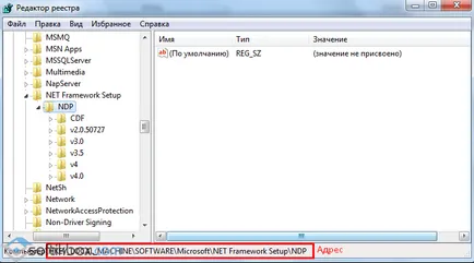 Cum de a verifica versiunea de cadru net