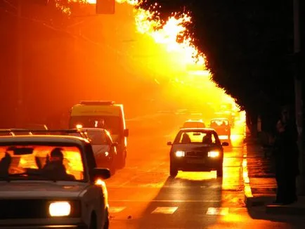 Cum de a alege un frigider auto (masina frigider alegerea principiu a dispozitivului) Cum de a alege un frigider auto