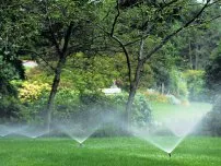 Cum de a vindeca coaja de pomi fructiferi, grădinar (conac)