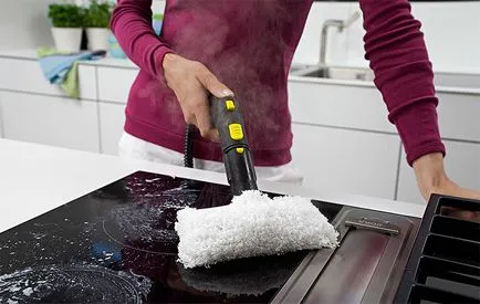Cum de a alege un aspirator cu abur pentru acasă clasament al celor mai buni producatori