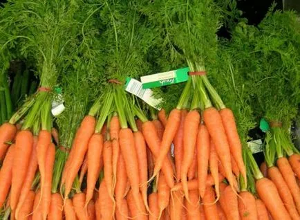 Cum să crească un morcov bun toate etapele de creștere (cultivare) Cum să crească un morcov bun toate etapele de cultivare
