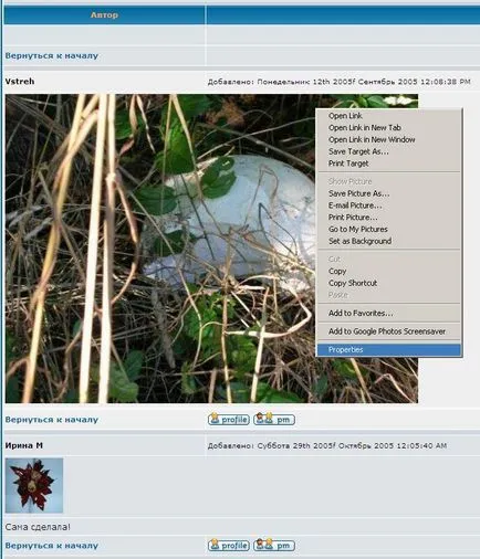 Cum de a încărca imagini pe forum
