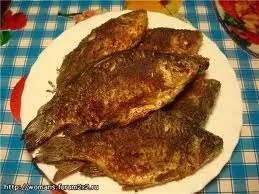 Cum de a găti delicioase crap