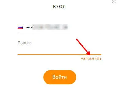 Cum de a recupera parola kiwi pungă în cazul în care este uitat