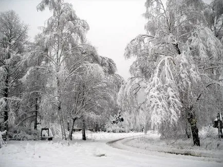 Cum de a supraviețui fără energie electrică în sat acoperite cu zăpadă