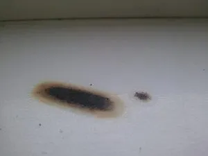 Cum pentru a sigila gaura din linoleum la domiciliu (aproape) Cum pentru a sigila gaura din linoleum la domiciliu