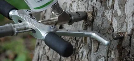 Cum să se usuce lemn, distrugerea chimică a arborilor (copac) Cum să se usuce lemn, distrugerea chimică a arborilor