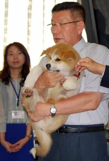 Care este numele câinelui lui Putin ce rasa de caine Putin