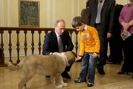 Care este numele câinelui lui Putin ce rasa de caine Putin