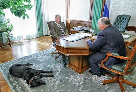 Care este numele câinelui lui Putin ce rasa de caine Putin