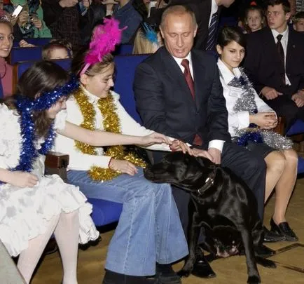 Care este numele câinelui lui Putin ce rasa de caine Putin