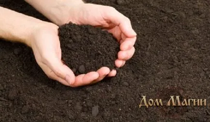 Ce vis carte de vis - pământ afânat negru în vise promisiuni avere (terenuri de vise) Ce vis carte de vis - pământ afânat negru în vise promisiuni avere