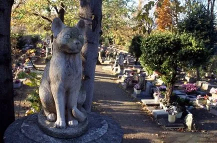 Cimitirul pentru câini din Franța