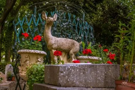 Cimitirul pentru câini din Franța