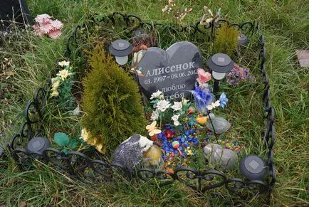 cimitir pentru animale de companie din Moscova, oficial fotografie cimitir pentru animale de companie Khimki