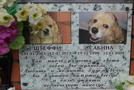 cimitir pentru animale de companie din Moscova, oficial fotografie cimitir pentru animale de companie Khimki
