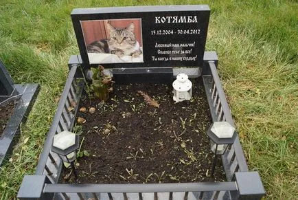 cimitir pentru animale de companie din Moscova, oficial fotografie cimitir pentru animale de companie Khimki