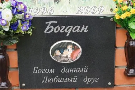 cimitir pentru animale de companie din Moscova, oficial fotografie cimitir pentru animale de companie Khimki
