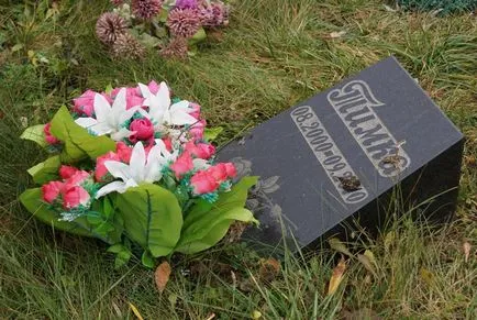 cimitir pentru animale de companie din Moscova, oficial fotografie cimitir pentru animale de companie Khimki