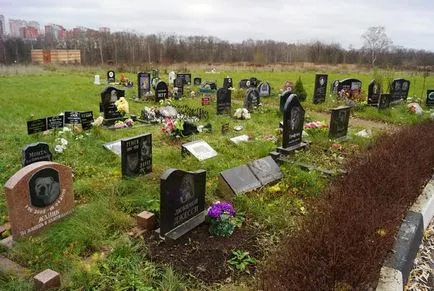 cimitir pentru animale de companie din Moscova, oficial fotografie cimitir pentru animale de companie Khimki