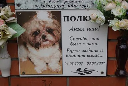 cimitir pentru animale de companie din Moscova, oficial fotografie cimitir pentru animale de companie Khimki