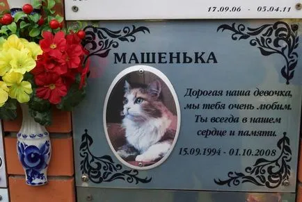 cimitir pentru animale de companie din Moscova, oficial fotografie cimitir pentru animale de companie Khimki