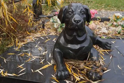 cimitir pentru animale de companie din Moscova, oficial fotografie cimitir pentru animale de companie Khimki